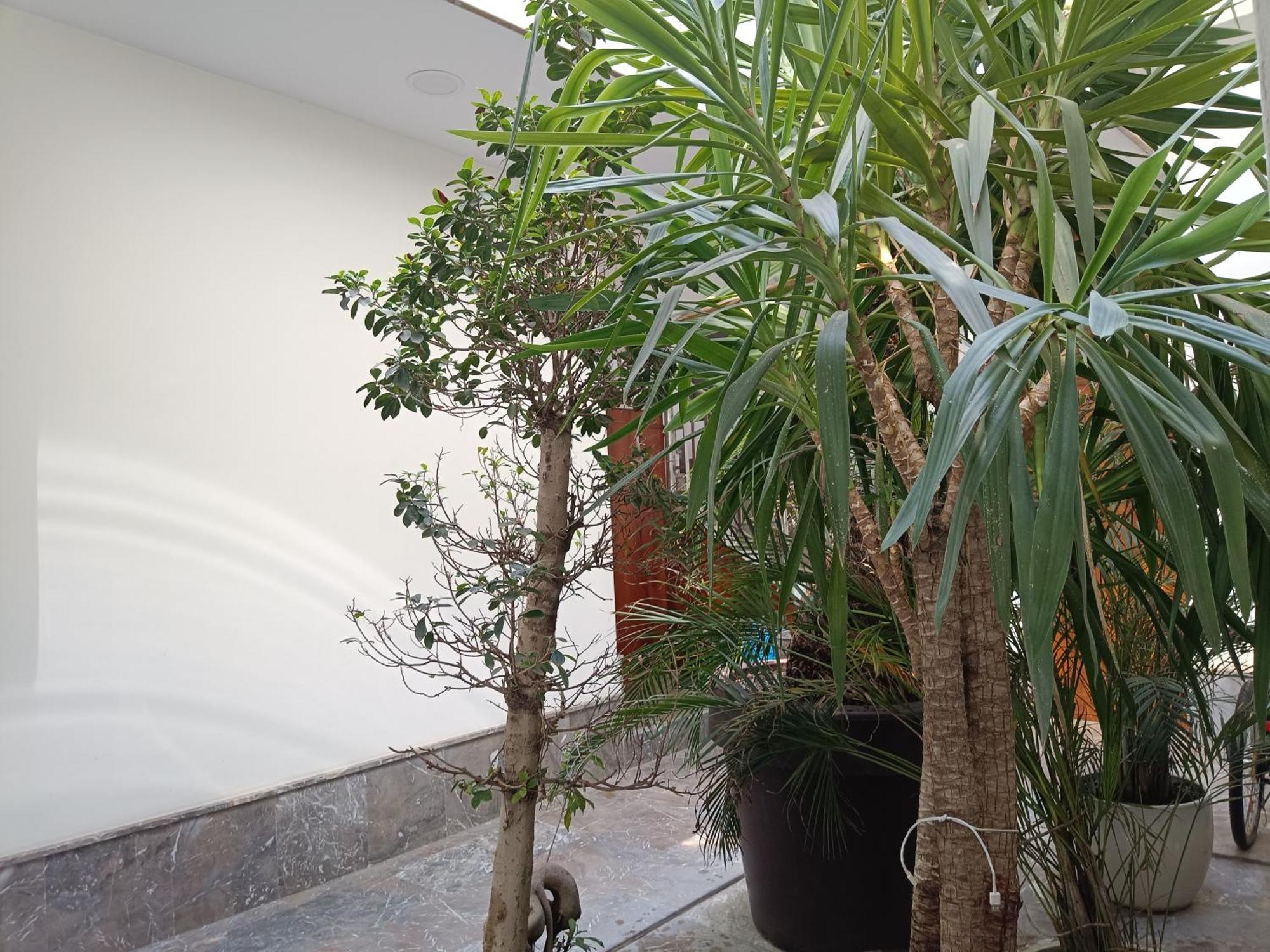 Apartamentos Luxury Puente De Triana Sevilla Eksteriør billede